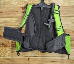 Image result for Seaquest Divers