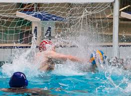 Image result for West London Penquin Swimming & Water Polo Club
