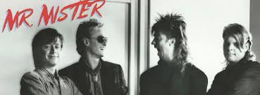 Image result for mister