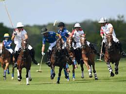 Image result for Woolmers Park Polo Club