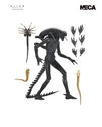 Image result for xenomorph