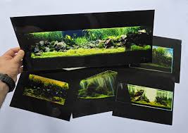 Znalezione obrazy dla zapytania takashi amano%