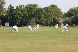 Image result for St Margaretsbury Cricket Club