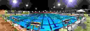 Image result for Elmbridge Phoenix Swimming Club