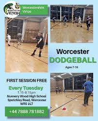 Image result for Bewdley Virtue Dodgeball Club