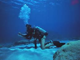 Image result for Blue Water Diving