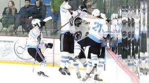 Image result for Norton Cyclones Skater Hockey Club