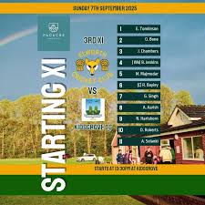 Image result for Elworth Cricket Club