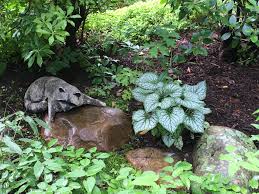 Image result for Brunnera `Jack Frost`