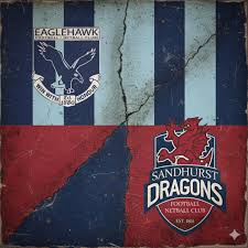 Image result for Red Dragon Netball Team