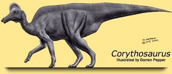 Bildergebnis für corythosaurus