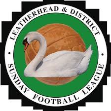 Image result for Leatherhead Swans Club