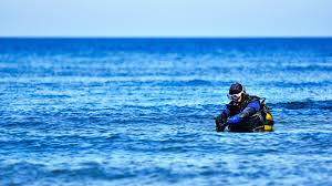 Image result for Canary Divers