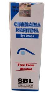 Image result for Cineraria maritima