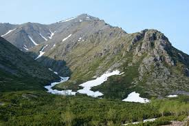 Attēlu rezultāti vaicājumam “Isopaches bicrenatus”