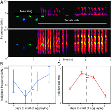 Attēlu rezultāti vaicājumam “Parus major male”