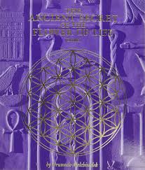 Image result for life flower