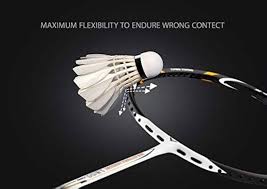 Image result for New Eagles Badminton Club