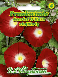 Image result for Prunkwinde