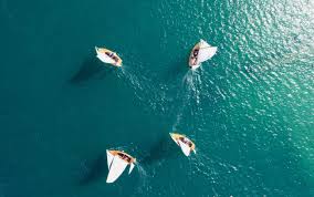 Image result for Plymouth Aquanauts