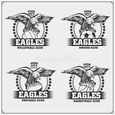Image result for White Eagles Volleyball Club