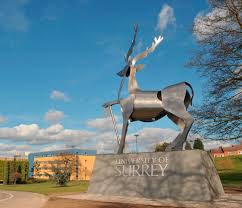 Image result for University Of Surrey