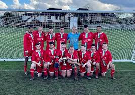 Image result for Old Wokingians Football Club