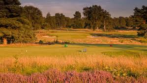 Image result for Walton Heath Golf Club
