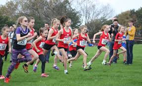 Image result for Grimsby Harriers & Athletics Club