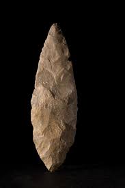 Image result for feuille-laurier-silex