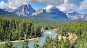 Résultat de recherche d'images pour "morant's curve"