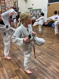Image result for North Wilts Taekwondo