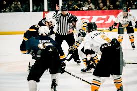 Image result for Streatham Chiefs Ice Hockey Club