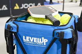 Image result for Lockerbie Pickleball Club