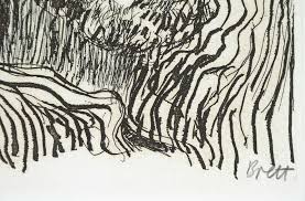 Image result for brett whiteley almost once