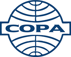 Resultado de imagem para logo da copa