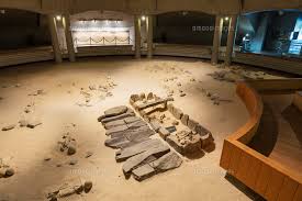 Image result for 土井ヶ浜遺跡　視線　故郷