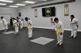 Image result for Hidden Dragon Karate-Do