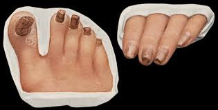 Image result for Lewandowsky-Lutz