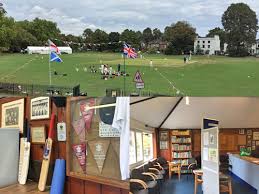 Image result for Mitcham Cricket Club