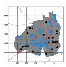 Attēlu rezultāti vaicājumam “Cephalozia loitlesbergeri”