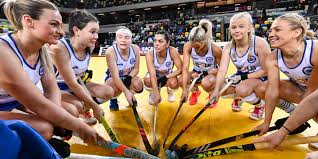 Image result for Gregarians Ladies Hockey Club
