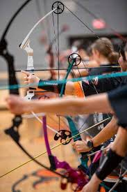 Image result for Nicssa Archery Club