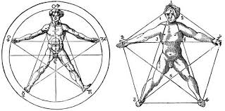 Image result for numero aureo