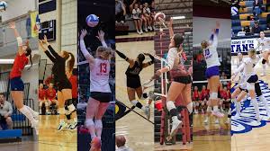 Image result for Reading Aces Volleyball Club