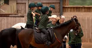 Image result for Riding For The Disabled Association