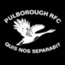 Image result for Pulborough Cricket Club