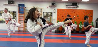 Image result for Bellshill Tae Kwon-Do