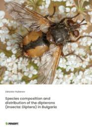 Attēlu rezultāti vaicājumam “Tetanops myopina”