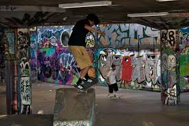 Image result for London Skate